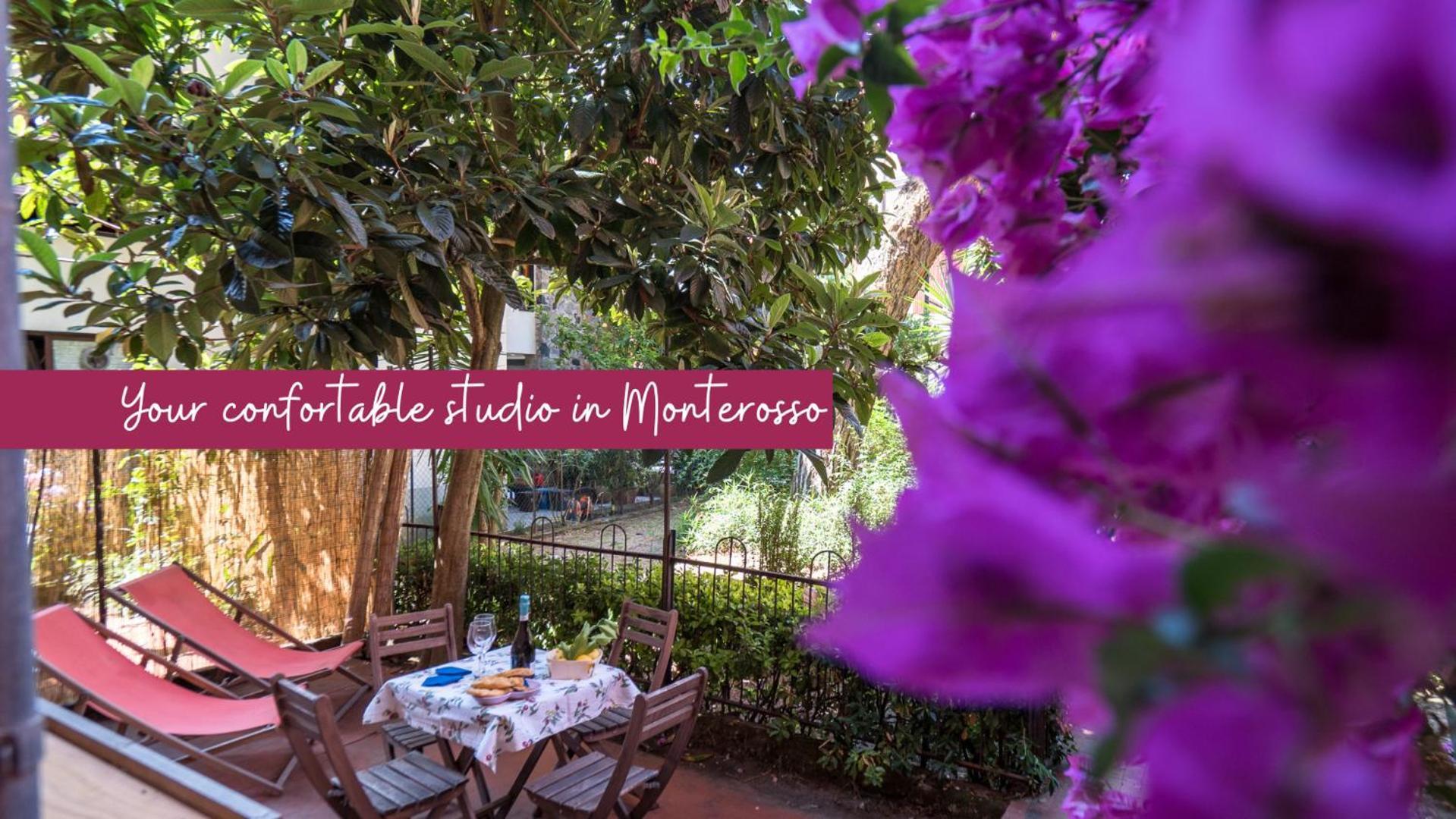 Il Giardino Di Ada Ground Floor Studio With Ac And Patio Monterosso al Mare Exteriér fotografie